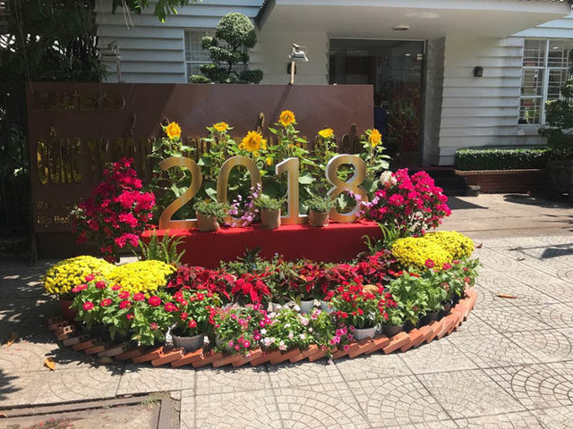 Bat TGD Ho Thi Thanh Truc: Lo dien qua trinh 'con ga vang' Sadeco bi 'xe thit'-Hinh-3