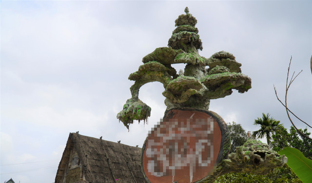 Cận cảnh ngôi nhà độc nhất vô nhị của “dị nhân” xứ Thanh - Hình 11 Can canh ngoi nha doc nhat vo nhi cua “di nhan” xu Thanh-Hinh-11