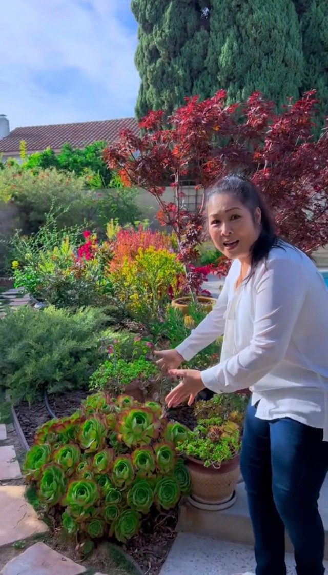Cận cảnh khu vườn ngập hoa trong biệt thự của Hồng Đào - Hình 3 Can canh khu vuon ngap hoa trong biet thu cua Hong Dao-Hinh-3