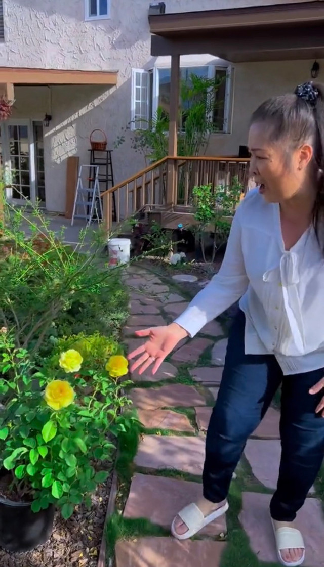 Cận cảnh khu vườn ngập hoa trong biệt thự của Hồng Đào - Hình 5 Can canh khu vuon ngap hoa trong biet thu cua Hong Dao-Hinh-5