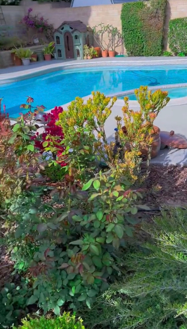 Cận cảnh khu vườn ngập hoa trong biệt thự của Hồng Đào - Hình 7 Can canh khu vuon ngap hoa trong biet thu cua Hong Dao-Hinh-7