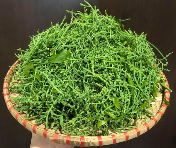 Hoa rau ngót rừng có gì đặc biệt mà giá "chát" tới 300.000 đồng/kg? Hoa rau ngot rung co gi dac biet ma gia