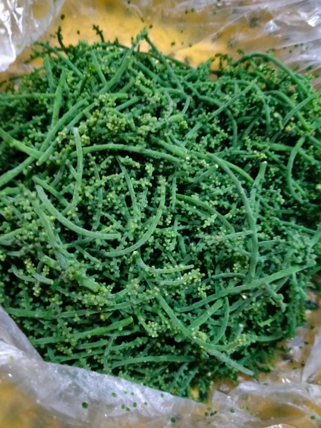 Hoa rau ngot rung co gi dac biet ma gia 