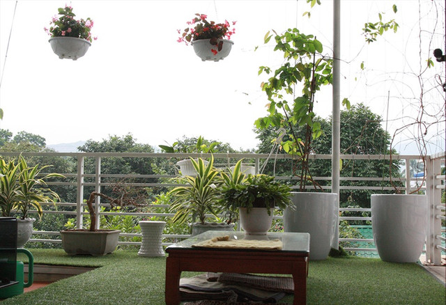 NSND Thanh Hoa sở hữu biệt thự ngàn m2 ngập sắc hoa - Hình 8 NSND Thanh Hoa so huu biet thu ngan m2 ngap sac hoa-Hinh-8