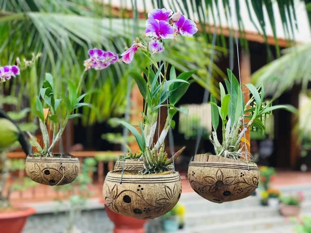 Đại gia Vĩnh Long chơi lớn với biệt phủ dừa cực độc lạ - Hình 9 Dai gia Vinh Long choi lon voi biet phu dua cuc doc la-Hinh-9