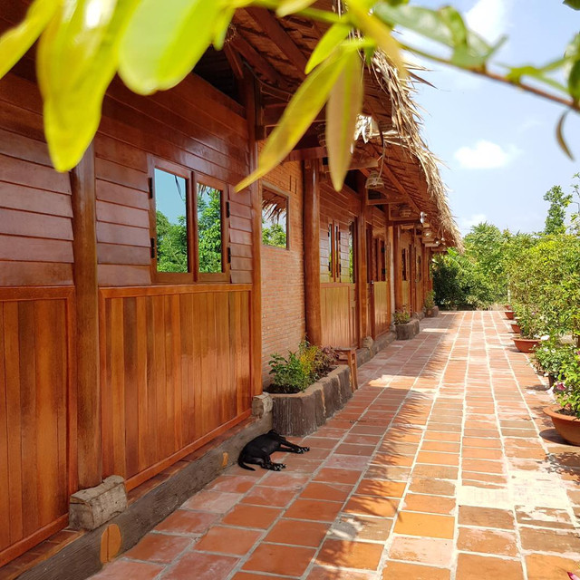 Đại gia Vĩnh Long chơi lớn với biệt phủ dừa cực độc lạ - Hình 11 Dai gia Vinh Long choi lon voi biet phu dua cuc doc la-Hinh-11