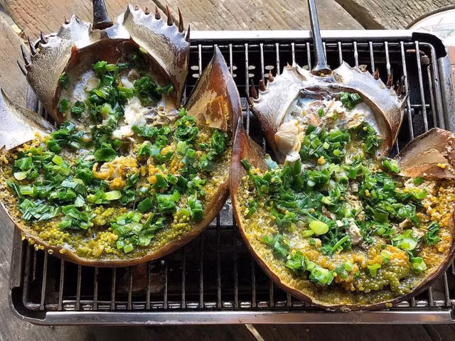 Day la loai vat xau xi nhung khien dai gia me man-Hinh-8