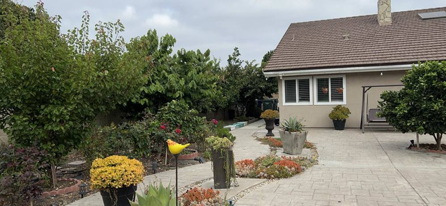 “Vua ca Koi” va Ha Thanh Xuan so huu khoi tai san do so-Hinh-10