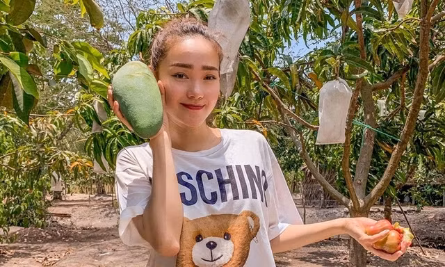 Minh Hang va chong dai gia so huu khoi tai san do so-Hinh-6