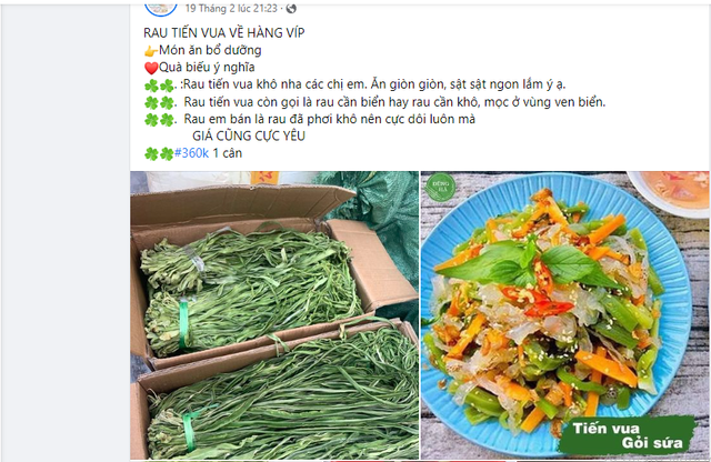Bí ẩn loại rau 'tiến vua' đắt hơn thịt Bi an loai rau 'tien vua' dat hon thit