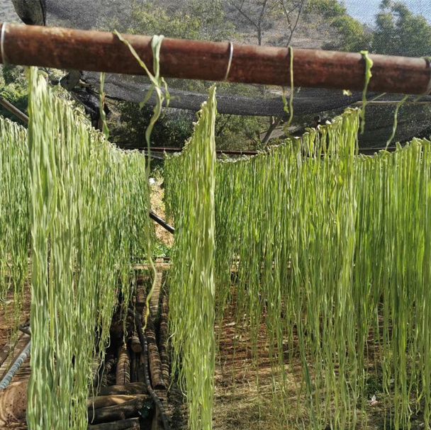 Bí ẩn loại rau 'tiến vua' đắt hơn thịt - Hình 6 Bi an loai rau 'tien vua' dat hon thit-Hinh-6