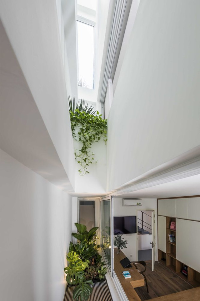 Cận cảnh nhà phố phủ cây xanh tựa resort giữa TP HCM - Hình 14 Can canh nha pho phu cay xanh tua resort giua TP HCM-Hinh-14