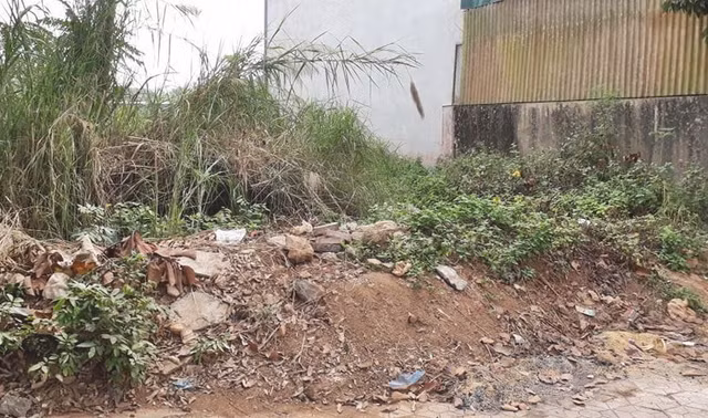 Co gai ban ga bi sat hai o Dien Bien: Ke la doi xem camera nha dan-Hinh-3