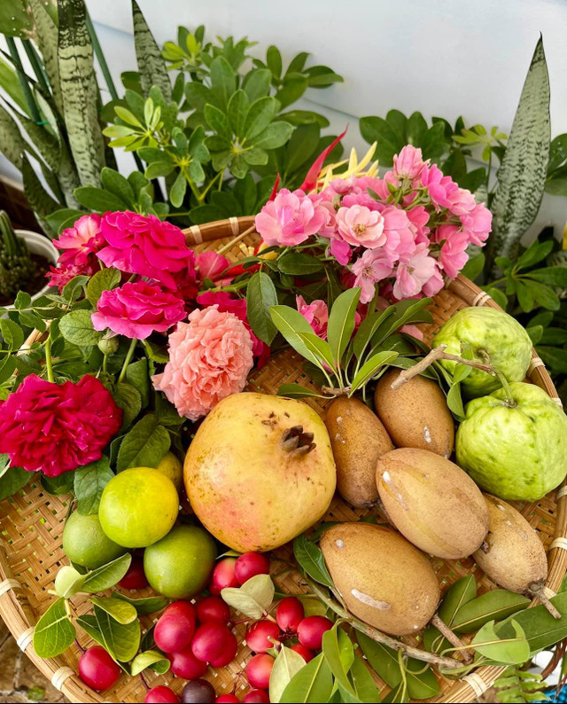 Ngắm vườn trái cây trĩu quả trong biệt thự của Quyền Linh - Hình 11 Ngam vuon trai cay triu qua trong biet thu cua Quyen Linh-Hinh-11
