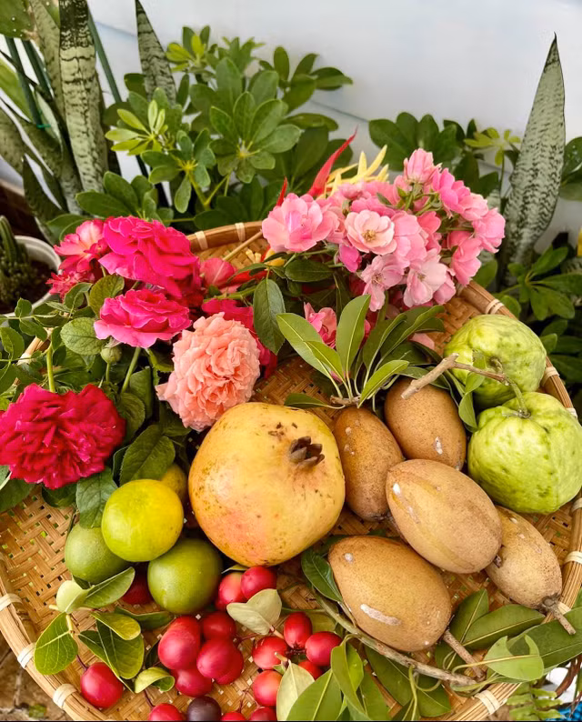 Ngam vuon trai cay triu qua trong biet thu cua Quyen Linh-Hinh-11