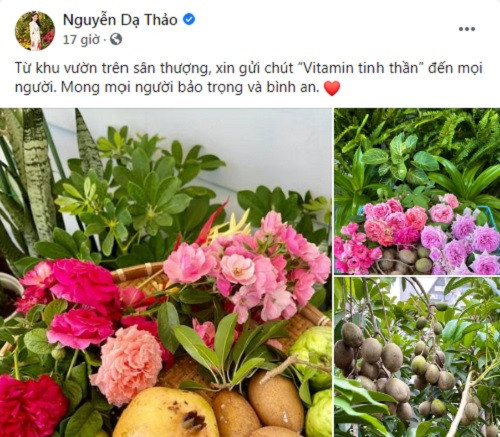 Ngắm vườn trái cây trĩu quả trong biệt thự của Quyền Linh Ngam vuon trai cay triu qua trong biet thu cua Quyen Linh