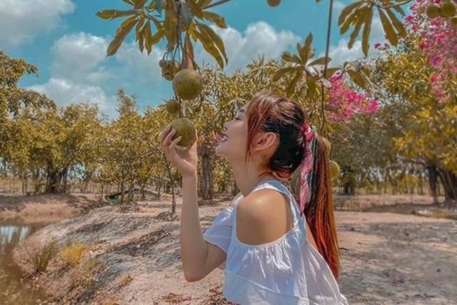 Những khu vườn tiền tỷ rộng thênh thang của sao Việt - Hình 8 Nhung khu vuon tien ty rong thenh thang cua sao Viet-Hinh-8