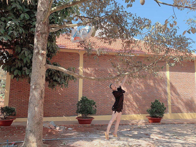 Những khu vườn tiền tỷ rộng thênh thang của sao Việt - Hình 5 Nhung khu vuon tien ty rong thenh thang cua sao Viet-Hinh-5