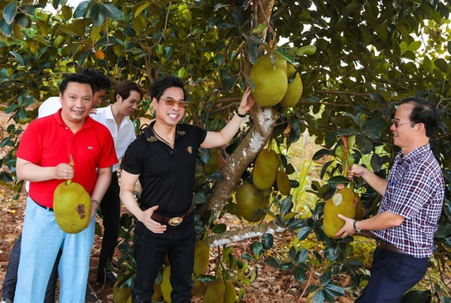 Những khu vườn tiền tỷ rộng thênh thang của sao Việt - Hình 13 Nhung khu vuon tien ty rong thenh thang cua sao Viet-Hinh-13