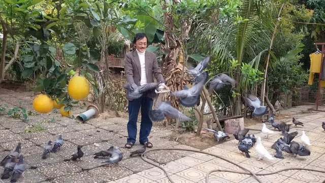 Ngoi nha ngap tran cay trai cua nghe si Giang Coi-Hinh-3