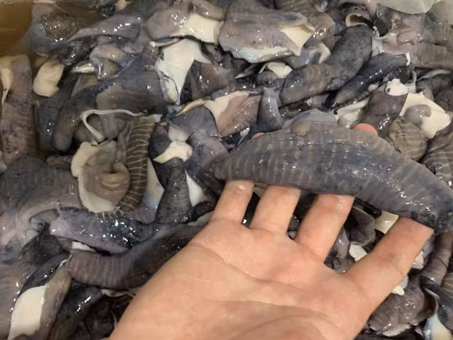 Boc tran su that ve loai nam la den dang gay sot cho mang-Hinh-5