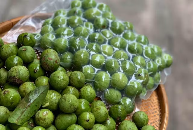 Sau, gung, xoai xanh duoc ban gia ngat nguong tai Uc-Hinh-2
