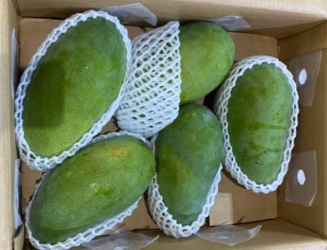 Sau, gung, xoai xanh duoc ban gia ngat nguong tai Uc-Hinh-3