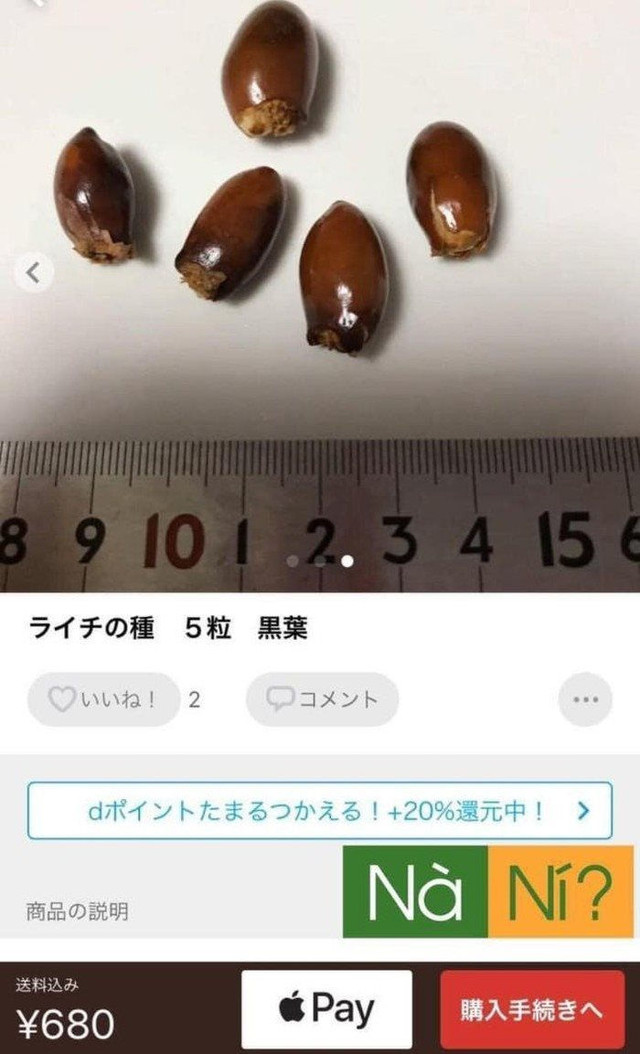 Những thứ 'rẻ như cho' ở Việt Nam nhưng sang Nhật giá ngất ngưởng - Hình 9 Nhung thu 're nhu cho' o Viet Nam nhung sang Nhat gia ngat nguong-Hinh-9