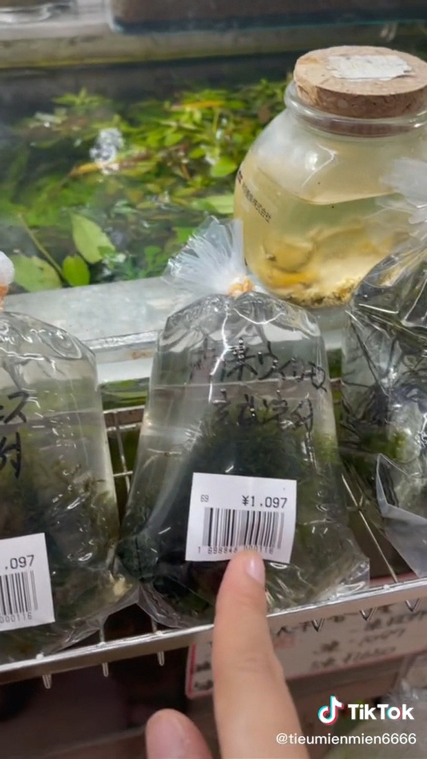 Những thứ 'rẻ như cho' ở Việt Nam nhưng sang Nhật giá ngất ngưởng - Hình 3 Nhung thu 're nhu cho' o Viet Nam nhung sang Nhat gia ngat nguong-Hinh-3