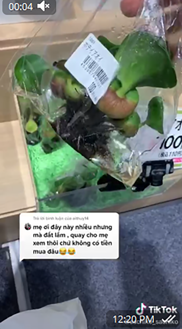 Những thứ 'rẻ như cho' ở Việt Nam nhưng sang Nhật giá ngất ngưởng Nhung thu 're nhu cho' o Viet Nam nhung sang Nhat gia ngat nguong