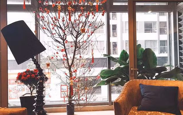 “Shark Long” Manh Truong so huu can ho dep nhu khach san-Hinh-4