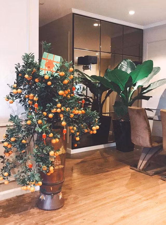 “Shark Long” Manh Truong so huu can ho dep nhu khach san-Hinh-10