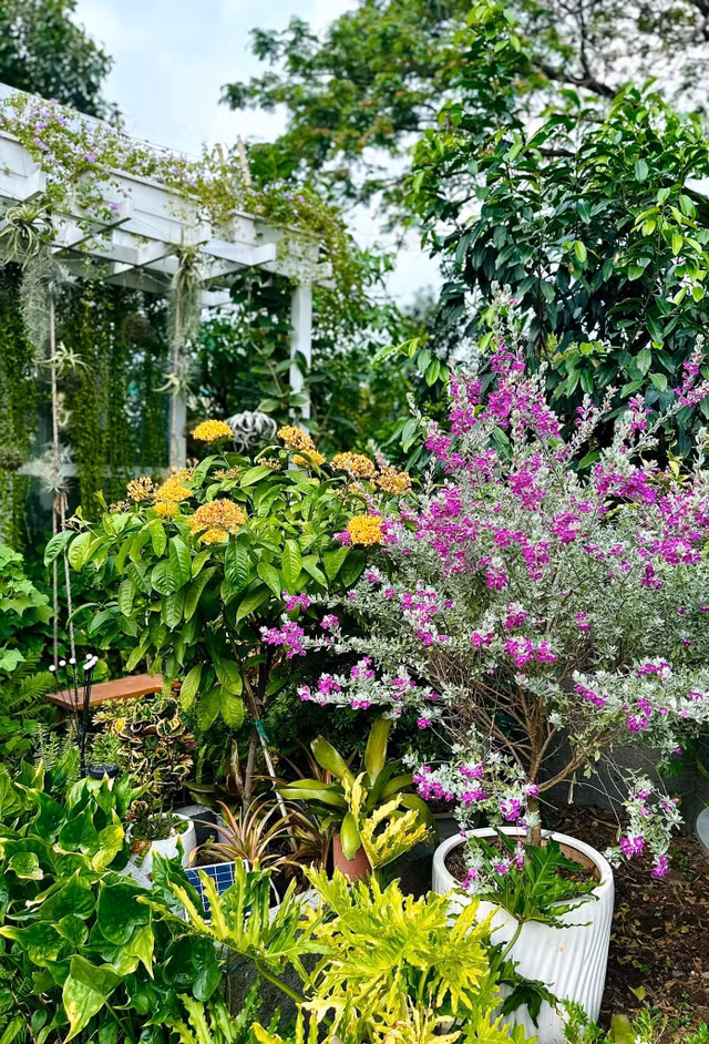 Di moi chan trong khu vuon rong 10 nghin m2 cua My Le-Hinh-6