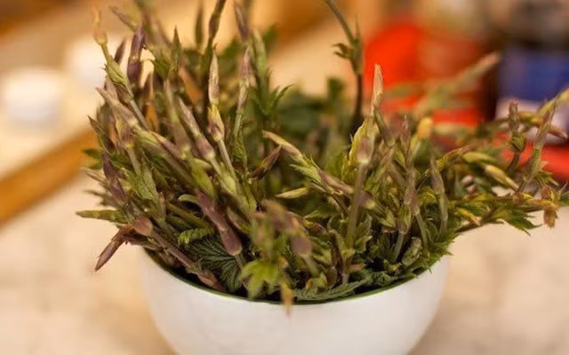 Tren the gioi co nhung loai rau dat hon vang-Hinh-5