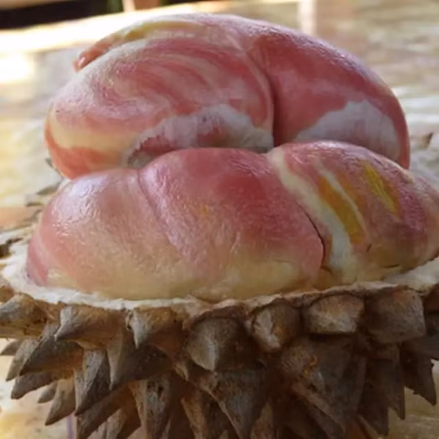 Thi truong con xuat hien sau rieng cau vong quy hiem-Hinh-5