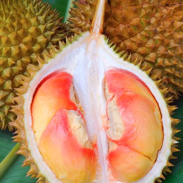 Thi truong con xuat hien sau rieng cau vong quy hiem