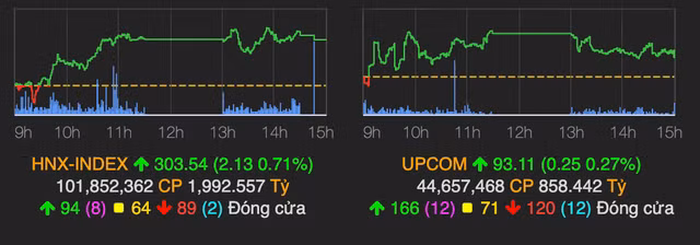 Nhom co phieu bat dong san huong loi dat Thu Thiem noi song-Hinh-2