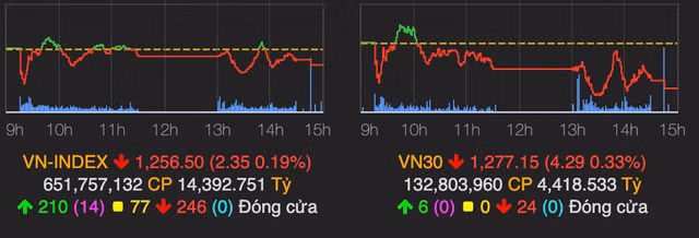 Nhom co phieu bat dong san huong loi dat Thu Thiem noi song