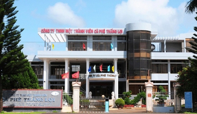 Nghi ngờ cổ phiếu bị thao túng, Cà phê Thắng Lợi (CFV) có văn bản cầu cứu Nghi ngo co phieu bi thao tung, Ca phe Thang Loi (CFV) co van ban cau cuu