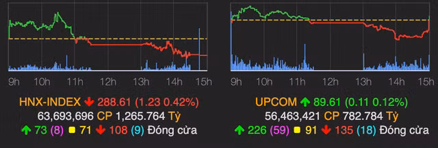 VN-Index dot nhien giam duoi tham chieu ve cuoi phien-Hinh-2