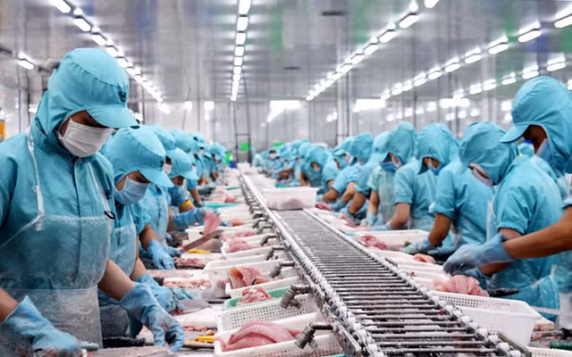 Nganh thuy san: Xuat khau sang Trung Quoc la dong luc tang nam sau?