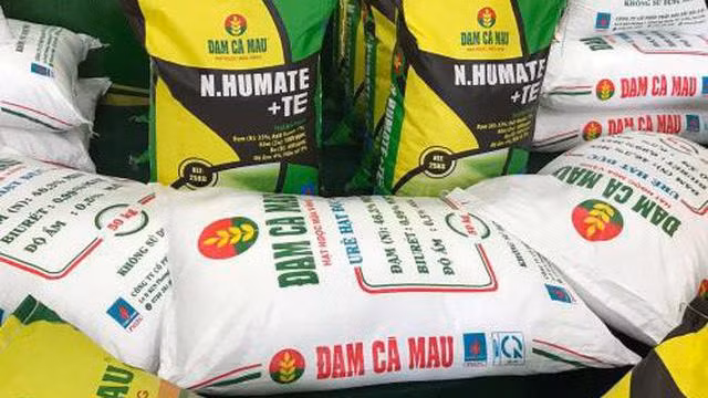 Dam Ca Mau lai quy 1 gap 10 lan cung ky nho gia phan bon dat dinh