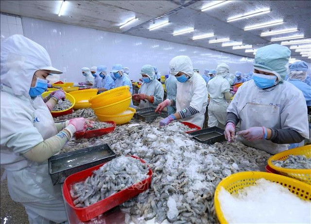 Thực phẩm Sao Ta bị phạt 70 triệu đồng vì vi phạm công bố thông tin Thuc pham Sao Ta bi phat 70 trieu dong vi vi pham cong bo thong tin