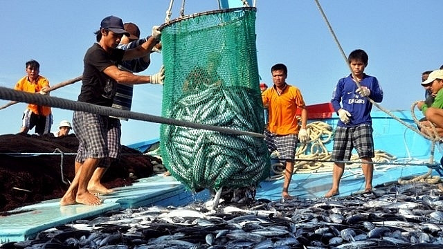 VHC, ANV là sự lựa chọn cho ngành thuỷ sản ở thời gian này? VHC, ANV la su lua chon cho nganh thuy san o thoi gian nay?
