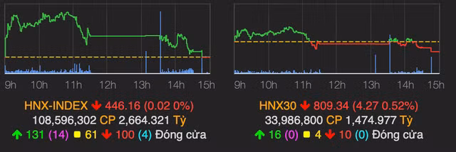 Nhom co phieu hang hoa bi chot loi manh, ho FLC va HAG tim tran-Hinh-2
