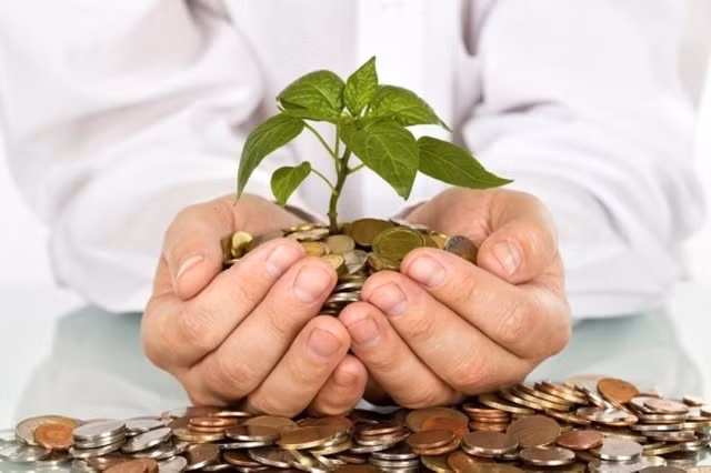 Mot doanh nghiep tai Binh Dinh tra co tuc tien mat den 102,8%