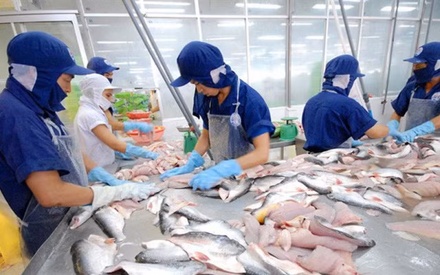 Navico 'rot' them 38 ty dong vao Amicogen Nam Viet