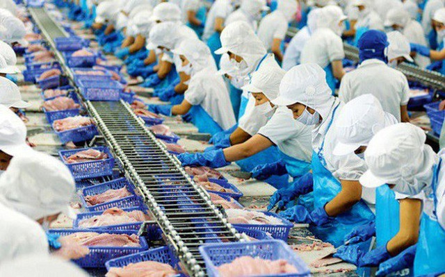 Dragon Capital lãi hơn 1,5 tỷ đồng khi vừa gom 300.000 cổ phiếu VHC Dragon Capital lai hon 1,5 ty dong khi vua gom 300.000 co phieu VHC