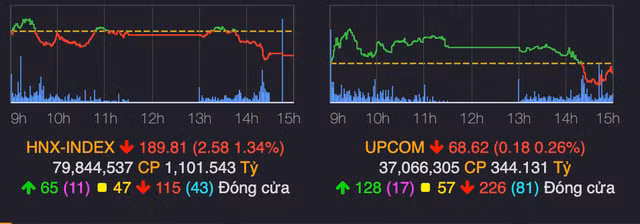 Thi truong 11/11 'xanh vo do long', bo doi NVL-PDR tiep tuc nam san-Hinh-2