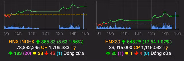 VN-Index phuc hoi them 15 diem, dong tien do vao nhom thuy san-Hinh-2